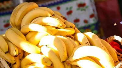 Mirá las cinco frutas y tres verduras que bajaron de precio en la Feria