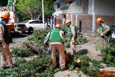 Capital: Más de 40 emergencias solucionadas por el ventarrón