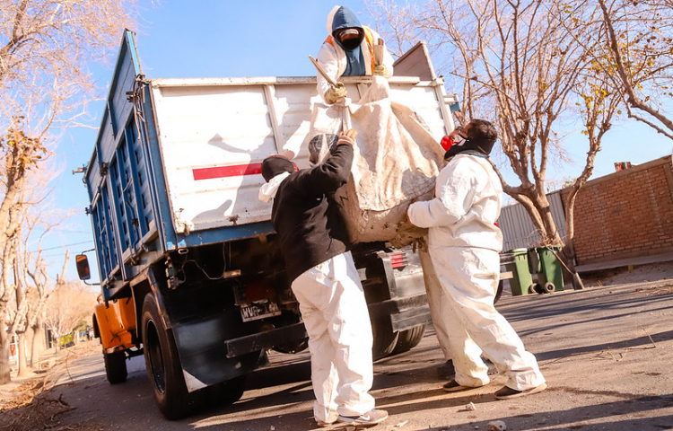 Así planificaron esta semana las brigadas de Ambiente y Servicios