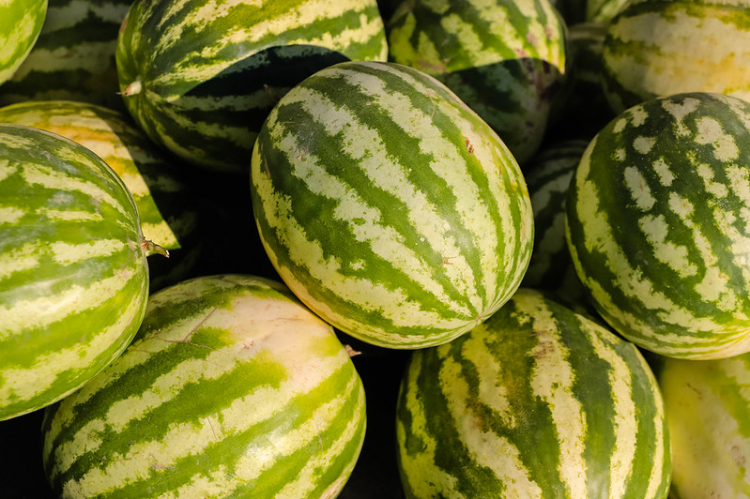 Feria y Mercado de Abasto: buenos precios y la mejor calidad en productos saludables