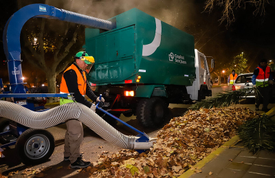 Capital: más de 20 mil kilos de hojas secas y trituradas para compost