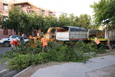 El SEM de Capital a pleno por el fuerte viento