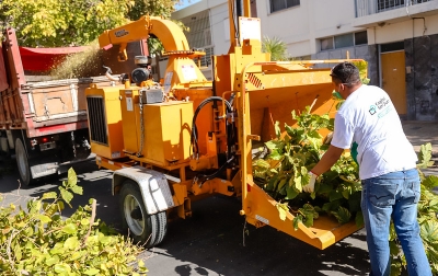 El 15 de mayo arranca la temporada de poda en el centro sanjuanino