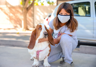 Capital vacunará a las mascotas de los vecinos de Trinidad