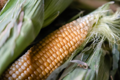 Los precios de productos saludables en la Feria de Capital