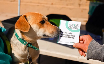Capital lleva la campaña de vacunación de mascotas a Desamparados