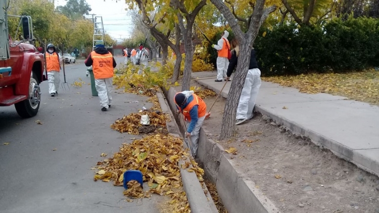 Así trabajarán esta semana las brigadas de Ambiente y Servicios en Capital