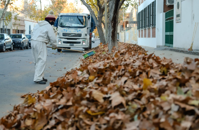 Las brigadas de Ambiente y Servicios de Capital con nueva planificación semanal