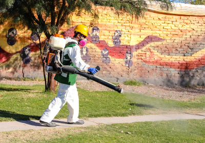 Capital fumiga en Concepción para controlar vectores