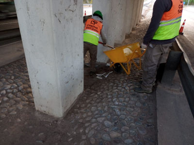 Circunvalación: la Brigada Capital levantó residuos del cantero lado norte