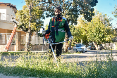 Las brigadas de Ambiente y Servicios con nueva planificación semanal