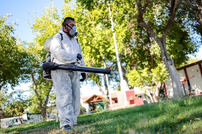 Continúa la Campaña de Prevención del Dengue en la Ciudad