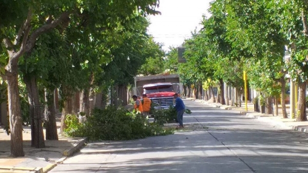 El SEM recibió 109 llamados por el viento y trabaja en toda la Capital