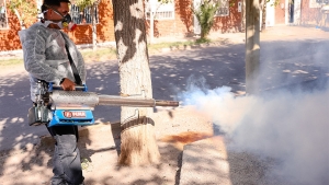 Dengue: intensos operativos de bloqueo y desinfección en la Capital