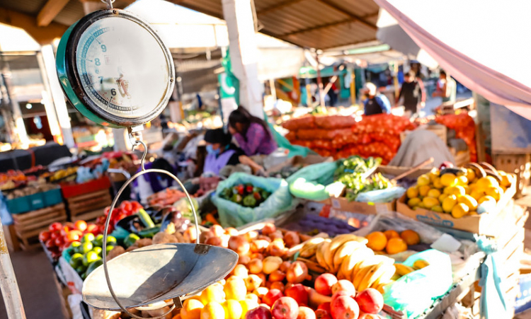 Buenos precios de productos saludables en la Feria de Capital