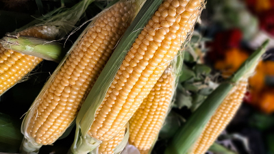 Para comer mejor, los precios de la semana en la Feria de Capital