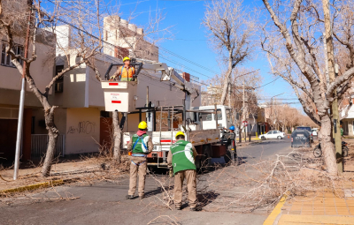 En horario de siesta Capital comenzó con la poda en el radio céntrico