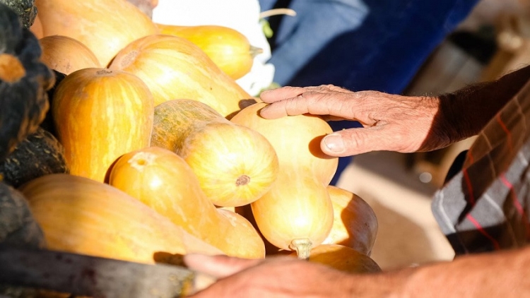 Una empresa donó 8 toneladas de zapallos para vecinos de Capital