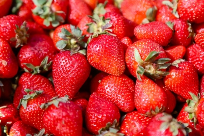 Doble tentación: Bajaron de precio las frutillas de la Feria de Capital