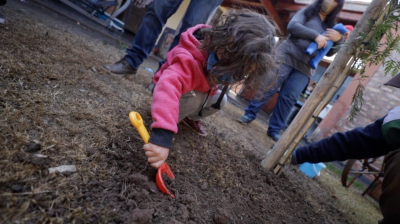 Capital lanzó el proyecto “Un Niño, un Árbol”