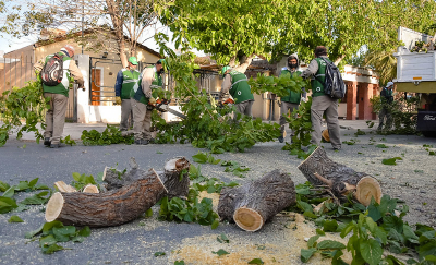 Capital solucionó emergencias tras el fuerte viento