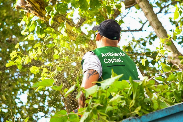 Capital: así será el abordaje de espacios verdes en zona norte esta semana