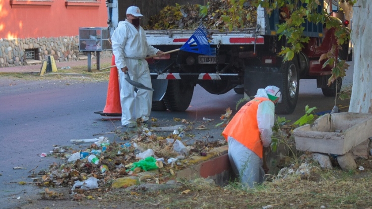 Capital: vecinos y municipalidad, juntos contra el Dengue