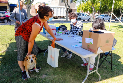 Conocé las nuevas fechas para vacunar a tu mascota en Capital