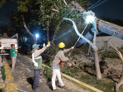 Capital atendió 35 pedidos de ayuda por el ventarrón