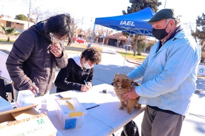 Capital vacunará a las mascotas de los vecinos de Desamparados