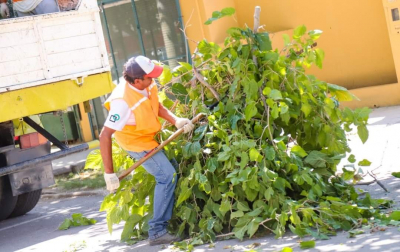 Capital: así trabajarán las brigadas municipales de limpieza