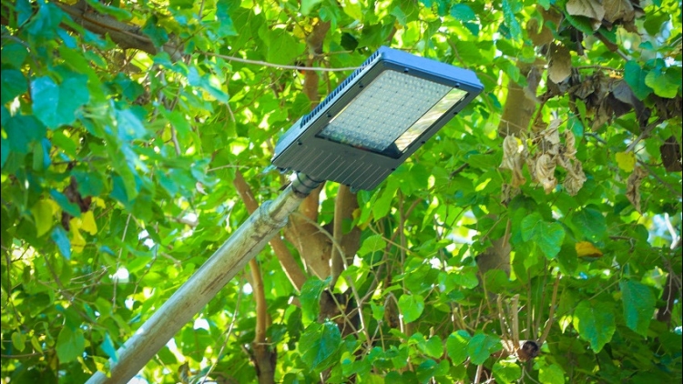 Con nueva iluminación dan más seguridad al Palomar y a la Escuela de Enología