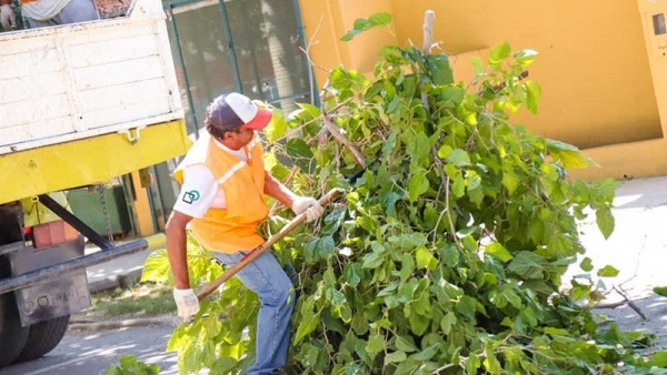 Así funcionarán los servicios en Capital durante el fin de semana largo de Carnaval