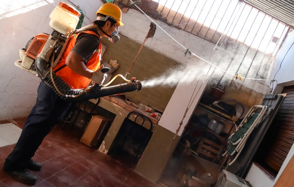 Capital fumiga puerta a puerta para controlar vectores