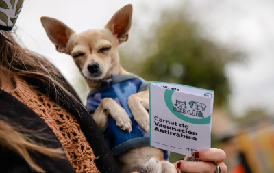 Vacunación antirrábica: conocé los 4 puntos de abordaje gratuito en Capital