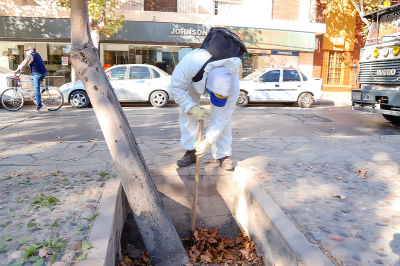 Limpieza Capital: Así planificaron esta semana las brigadas de Ambiente y Servicios